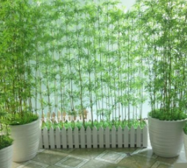 Cho thuê cây xanh tại nhà quốc hội - Công Ty Cổ Phần Viên Lâm Hà Nội